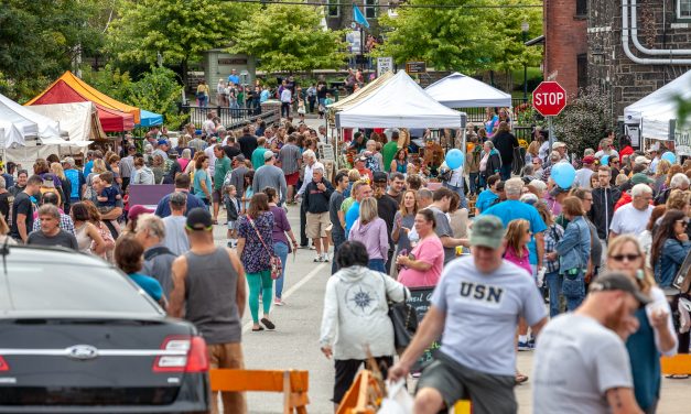 Crowd size doesn’t stink at the 2018 Garlic Festival