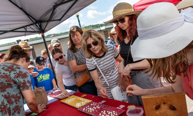 The Little Falls Cheese Festival needs you!