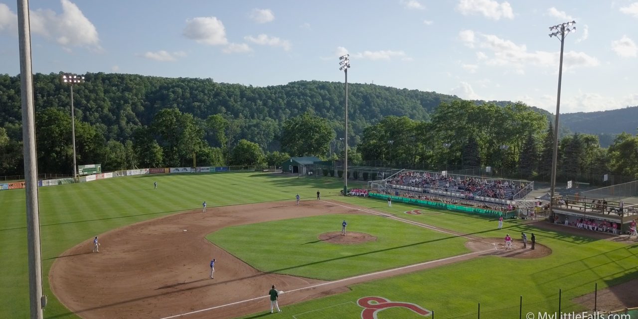 DiamondDawgs season tickets now on sale
