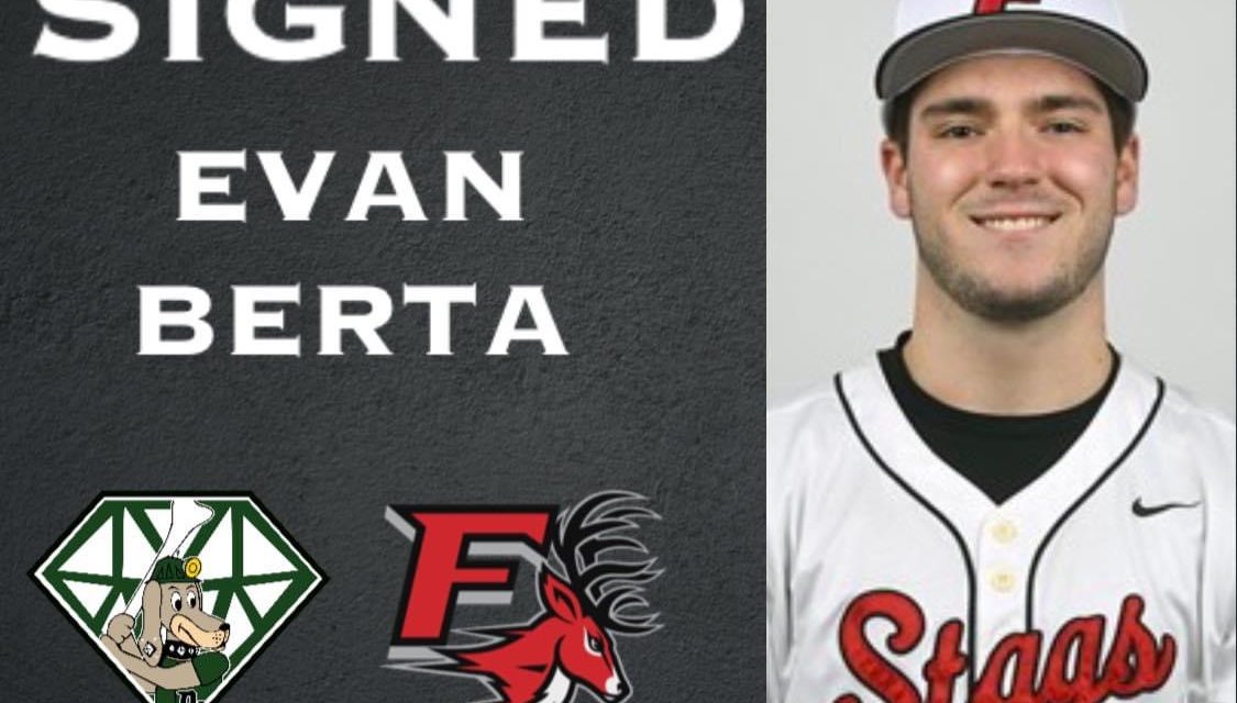 DiamondDawgs sign Berta