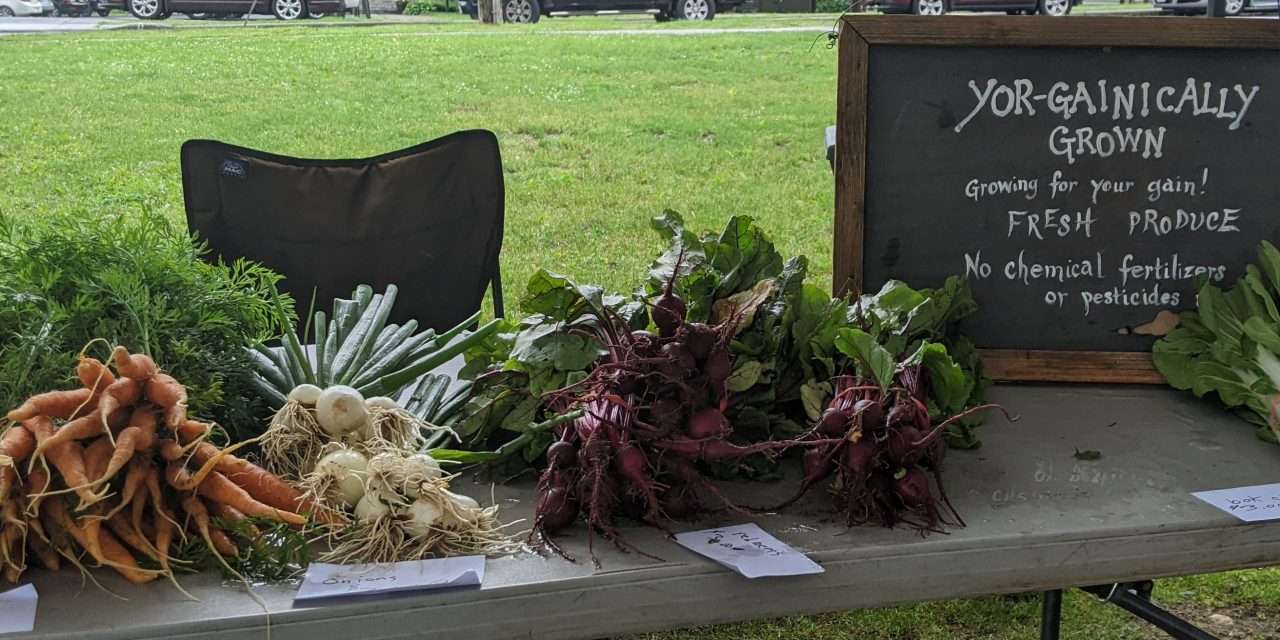 Dolgeville Farmer’s Market in Full Swing