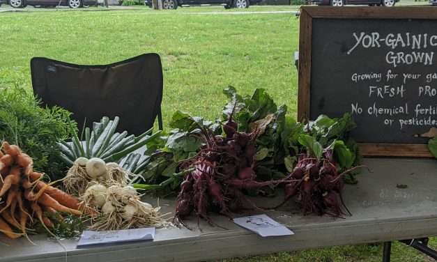 Dolgeville Farmer’s Market in Full Swing