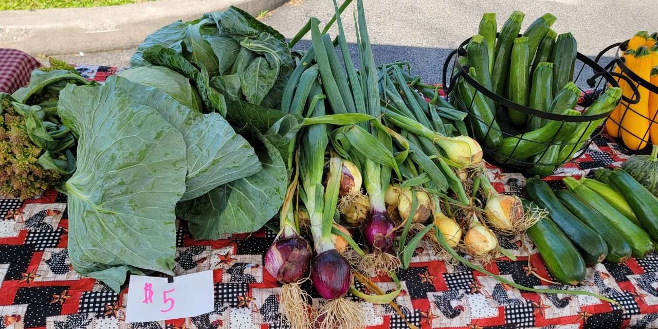 Locally Grown: “More Bang for your Buck”