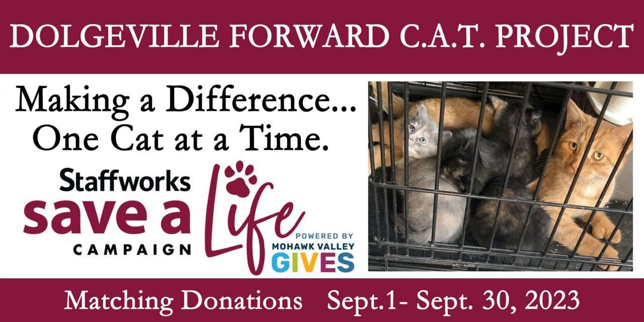 Dolgeville Forward C.A.T. project participating in Mohawk Valley Gives campaign