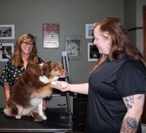 Brandi, Dawn’s grand-pup, shakes hands with her mom, Kacey.