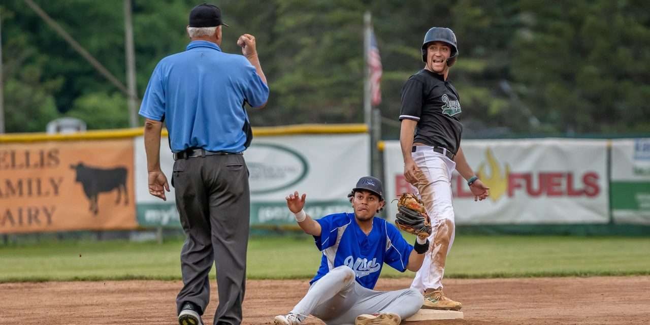 The best images of the Mohawk Valley  Diamond Dawgs for 2025