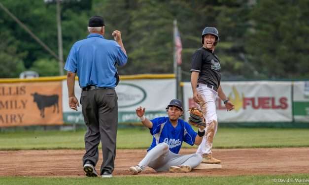 The best images of the Mohawk Valley  Diamond Dawgs for 2025