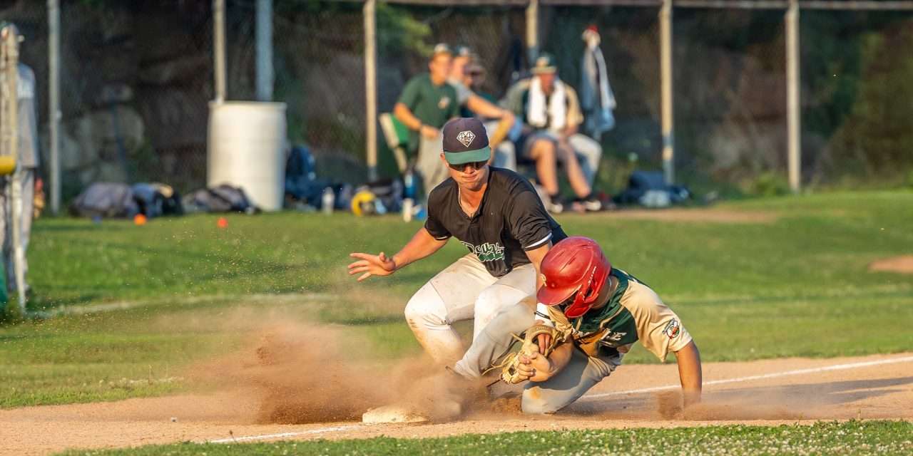 Kuczic Brings Home Three As Dawgs Run-Rule Boonville