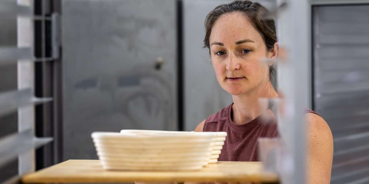 New Artisan Bakery Poised to Open in Little Falls with Local, Handcrafted Delights