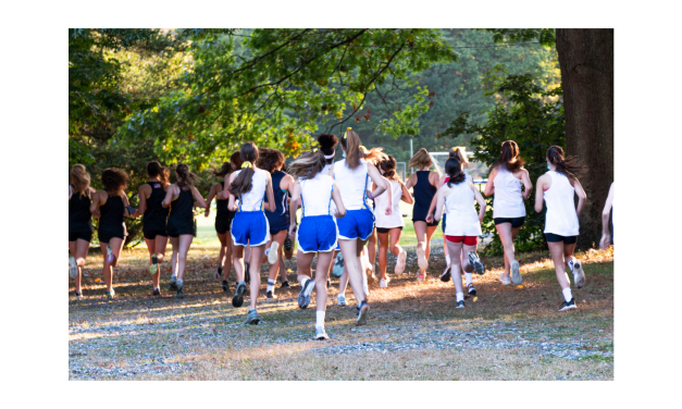 Local Runners Compete in the EJ Hermann Invitational
